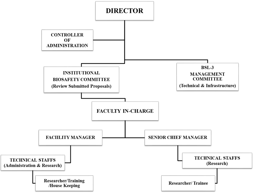 BSL 3 Organizational Structure