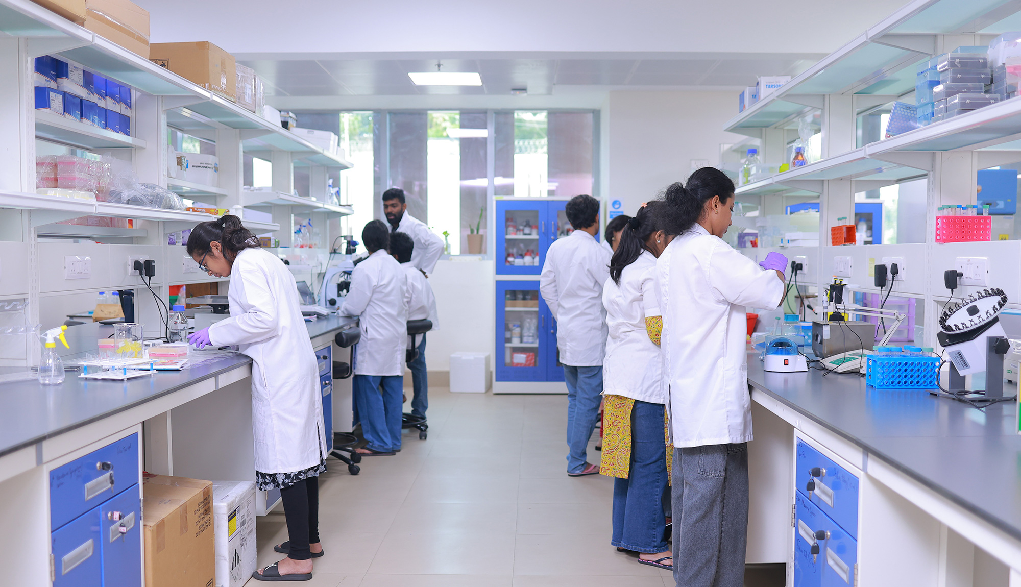 Medical Lab Services