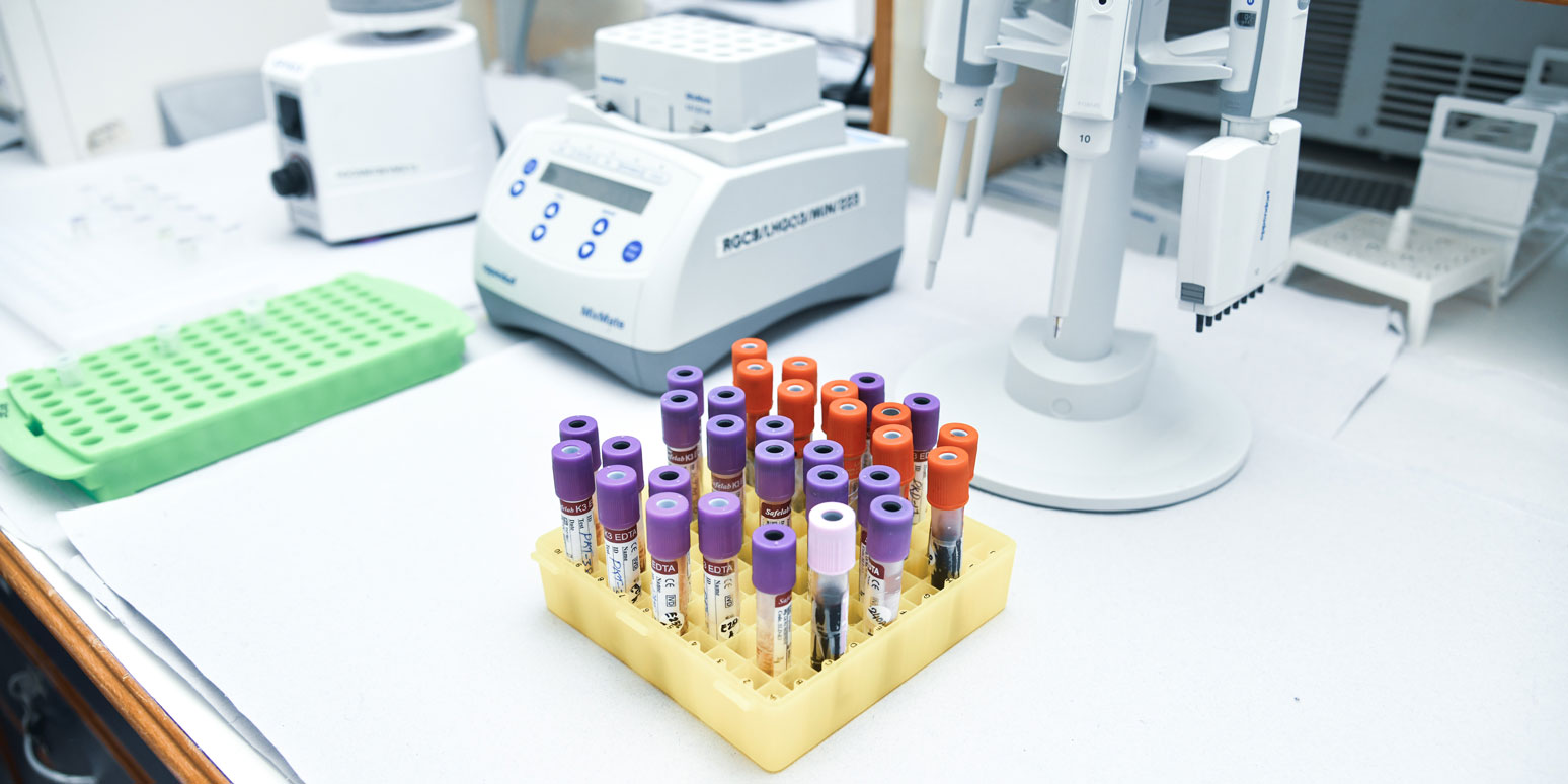 Biotechnology dissertation project training results