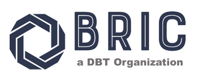 BRIC - A DBT Organization