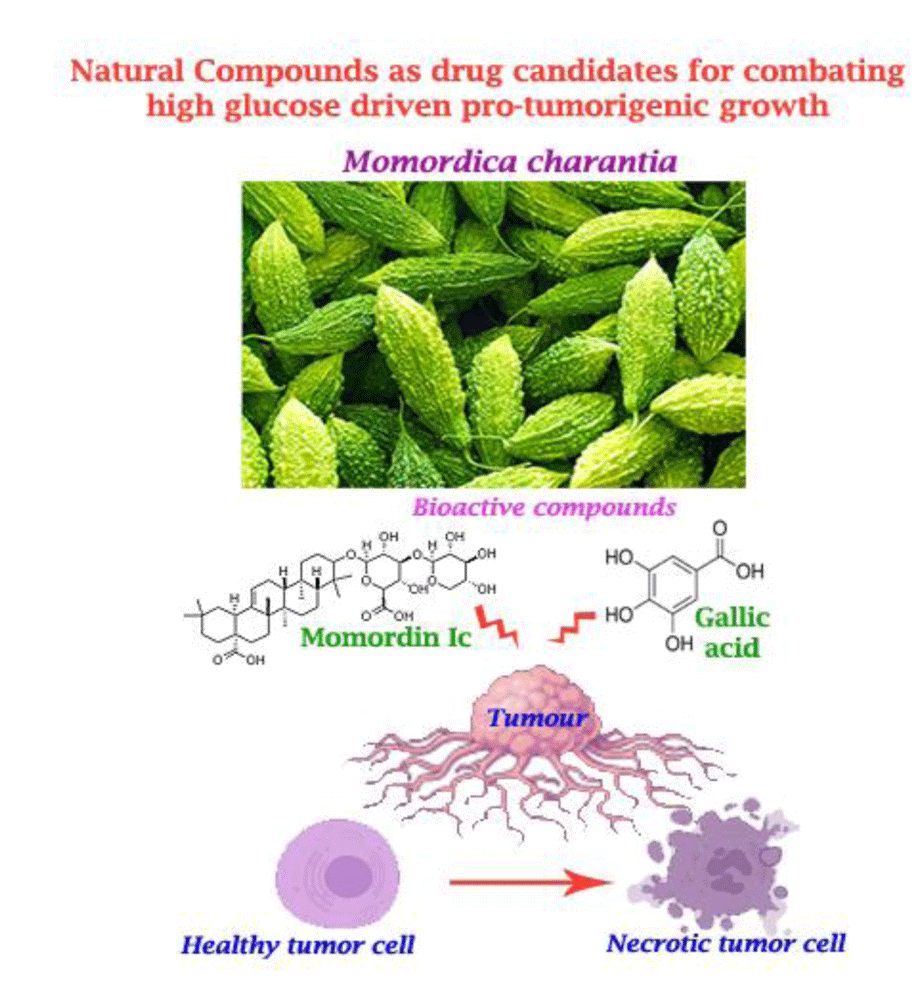 res_pics/rashmi/CANCER-MECHANOBIOLOGY.gif